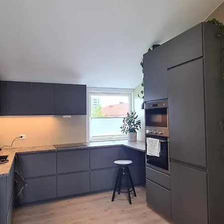 Modern One-bedroom With Balcony Stavanger